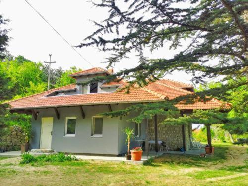 Kuca Za Odmor-Zelena Oaza Hotel Golubăţ Exterior foto